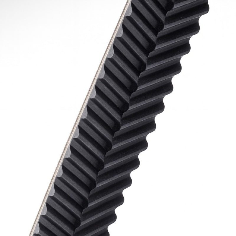 ContiTech W800 SilentSync Helical Offset Toothed Belt 32mm Wide 800mm Length 100 Teeth Allow 2-3 Days