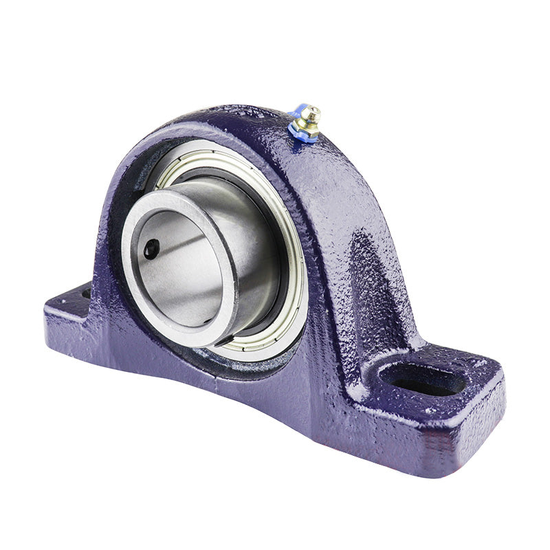 RHP SL65 Two Bolt Cast Iron Pillow Block and 65mm Bore Grub Screw Full Width Insert