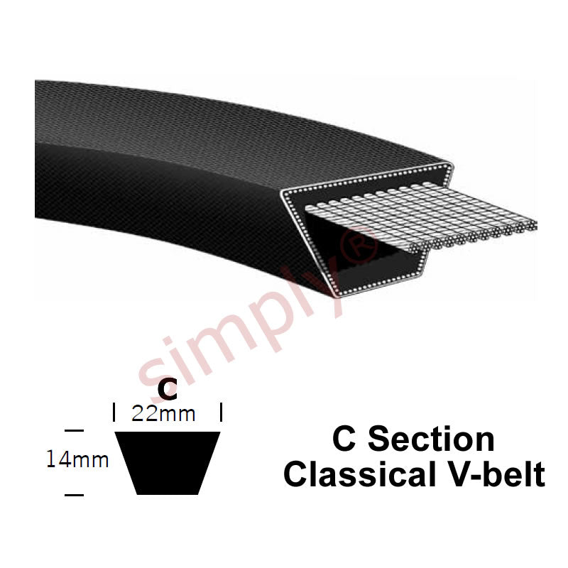 C295 Pix Classical C-Section Muscle V-Belt