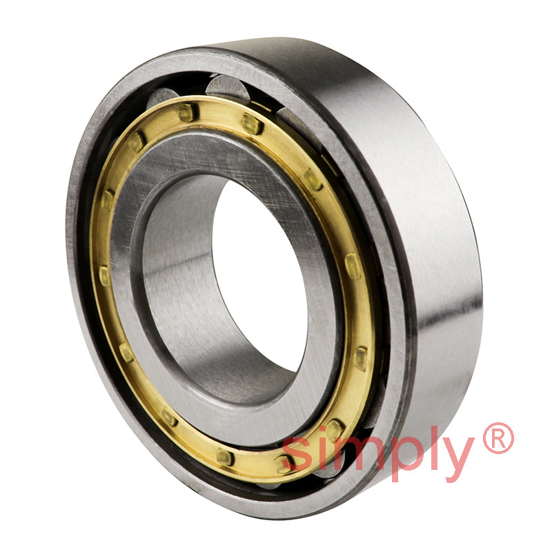 N309EM Single Row Cylindrical Bearing Brass Cage Extra Load 45x100x25mm