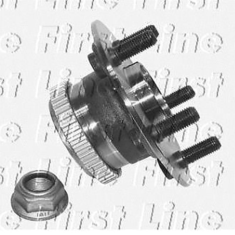FBK1001 Rear Wheel Bearing Kit