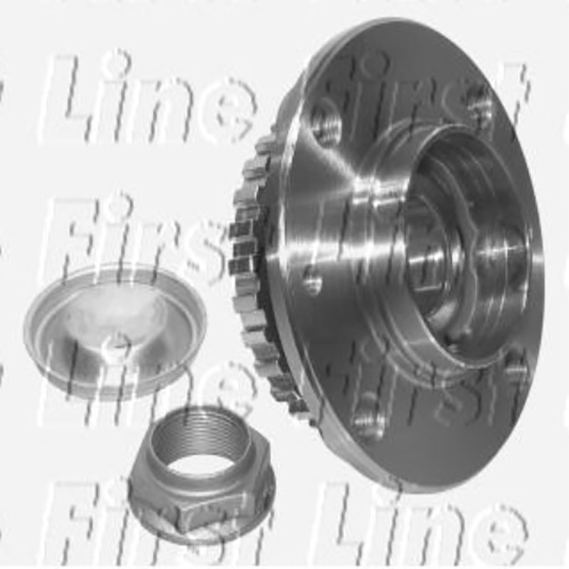 FBK954 Rear Wheel Bearing Kit