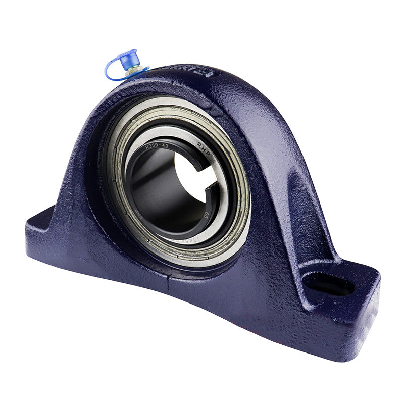 RHP NP1055K Two Bolt Cast Iron Pillow Block and 1-15/16 Bore and Taper Bore Insert (No Sleeve)