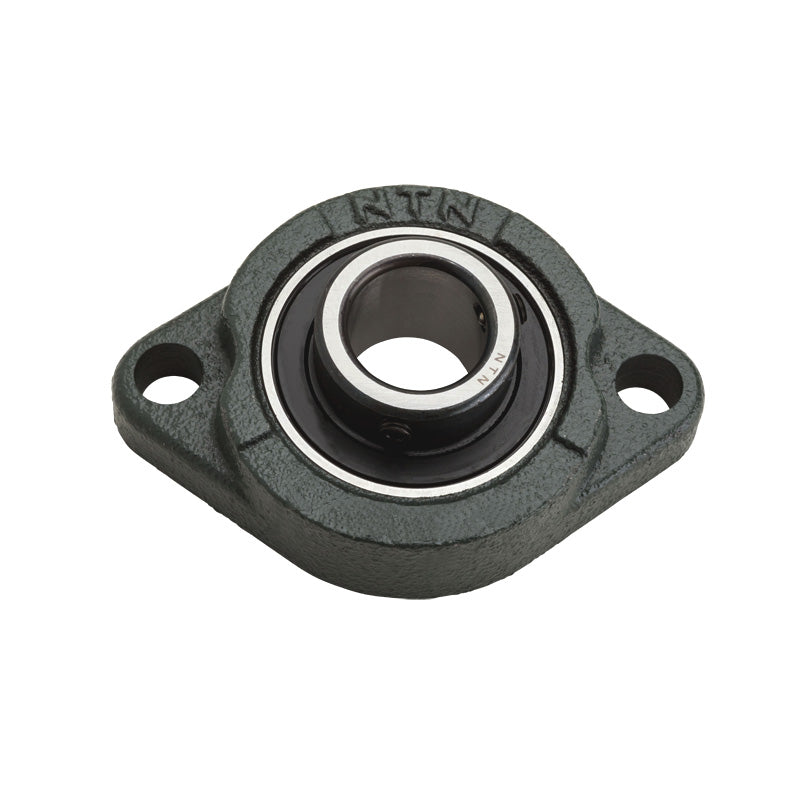 NTN M-ASFB205-100D1 Imperial Two Bolt Oval Cast Iron Flange Housing with 1 inch Bore Insert - Allow 2-3 Days
