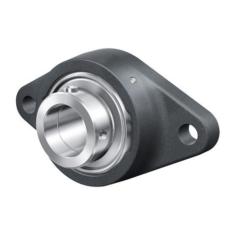 INA RCJTY55XL Two Bolt Cast Iron Oval Housing with Grub Screw Insert 55mm Bore